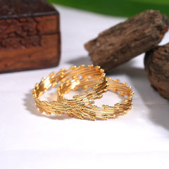 Fancy 2 pieces kada bangles