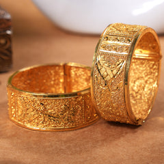 Pair kada bangles
