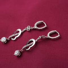 Silver fancy earrings