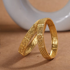 6 pieces bangles set